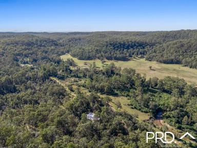 Lifestyle For Sale - NSW - Upper Mongogarie - 2470 - 240+ Acres of Possibilities  (Image 2)