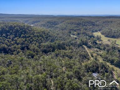 Lifestyle For Sale - NSW - Upper Mongogarie - 2470 - 240+ Acres of Possibilities  (Image 2)