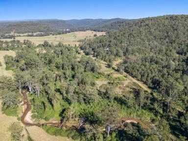 Lifestyle For Sale - NSW - Upper Mongogarie - 2470 - 240+ Acres of Possibilities  (Image 2)
