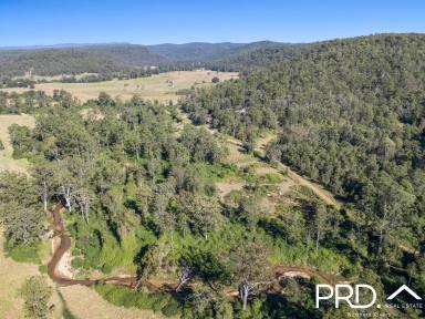 Lifestyle For Sale - NSW - Upper Mongogarie - 2470 - 240+ Acres of Possibilities  (Image 2)