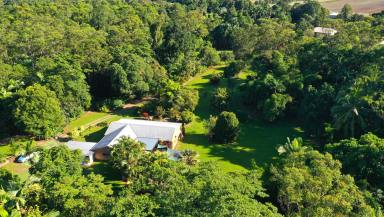 House For Sale - QLD - Merryburn - 4854 - Mission Beach Hinterland Acreage $799,000  (Image 2)