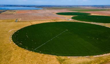 Cropping For Sale - VIC - Winlaton - 3585 - PRODUCTIVE IRRIGATED AND DRYLAND CROPPING  (Image 2)