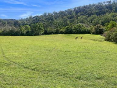 Residential Block For Sale - NSW - Wollombi - 2325 - Picture Perfect Weekender Acres in Ideal Wollombi Location  (Image 2)