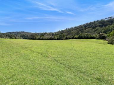 Residential Block For Sale - NSW - Wollombi - 2325 - Picture Perfect Weekender Acres in Ideal Wollombi Location  (Image 2)