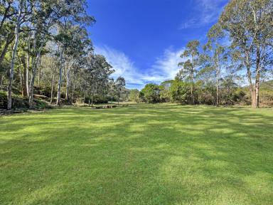 Residential Block For Sale - NSW - Wollombi - 2325 - Picture Perfect Weekender Acres in Ideal Wollombi Location  (Image 2)