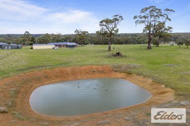 House For Sale - VIC - Haddon - 3351 - Contemporary Country Living on 5 Acres – A Bryan & Peterson Masterpiece  (Image 2)