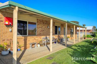 House For Sale - QLD - Innes Park - 4670 - Charming Home Walking distance to the beach with sheds, solar and teenage retreat!!!  (Image 2)