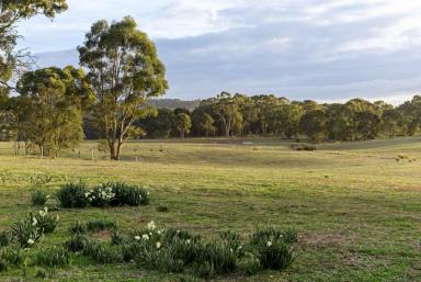 Residential Block For Sale - VIC - Mandurang South - 3551 - STUNNING UNDULATING ALLOTMENT - TITLED ACREAGE IN MANDURANG SOUTH (14.80ha, RLZ)  (Image 2)