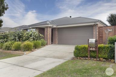 House For Sale - VIC - Winter Valley - 3358 - Spacious Family Living In Winter Valley  (Image 2)