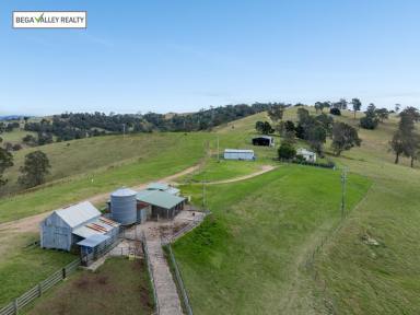 Livestock For Sale - NSW - Bega - 2550 - BIG ACRES ON PEAK HILL  (Image 2)