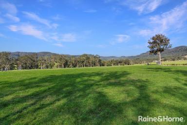 Residential Block For Sale - NSW - Kangaroo Valley - 2577 - The World is Your Oyster!  (Image 2)