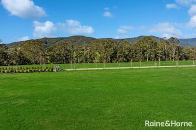 Residential Block For Sale - NSW - Kangaroo Valley - 2577 - The World is Your Oyster!  (Image 2)