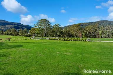 Residential Block For Sale - NSW - Kangaroo Valley - 2577 - The World is Your Oyster!  (Image 2)