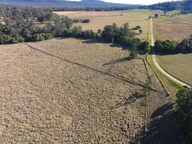 Mixed Farming For Sale - NSW - New Italy - 2472 - 95 ACRES - NEW ITALY BUILD YOUR DREAM HOME !  (Image 2)