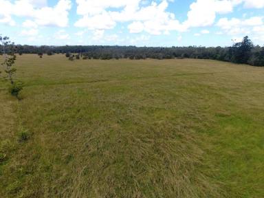 Mixed Farming For Sale - NSW - New Italy - 2472 - 95 ACRES - NEW ITALY BUILD YOUR DREAM HOME !  (Image 2)