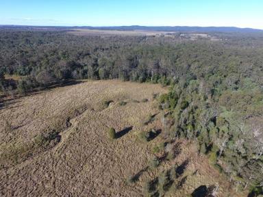 Mixed Farming For Sale - NSW - New Italy - 2472 - 95 ACRES - NEW ITALY BUILD YOUR DREAM HOME !  (Image 2)
