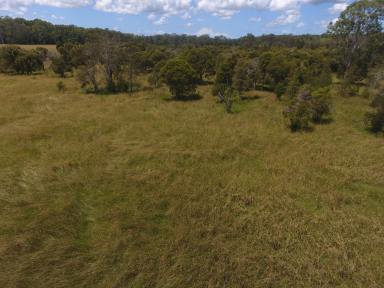 Mixed Farming For Sale - NSW - New Italy - 2472 - 95 ACRES - NEW ITALY BUILD YOUR DREAM HOME !  (Image 2)