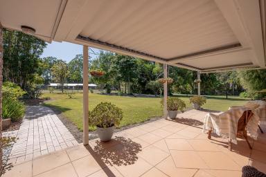 House For Sale - QLD - Cooroy - 4563 - Rural Feel Yet So Close To Town  (Image 2)