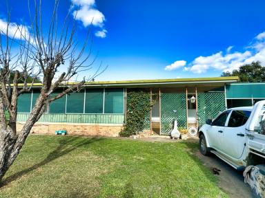 House For Sale - NSW - Wee Waa - 2388 - HOME AND LAND PACKAGE ONLY 2 MINS FROM TOWN  (Image 2)