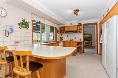 House For Sale - NSW - Raymond Terrace - 2324 - WANTED: A FUN FAMILY HOME WITH CHARACTER!  (Image 2)