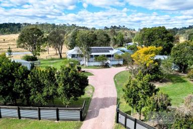 House For Sale - QLD - The Palms - 4570 - Beautiful Queenslander with studio on 5 acres just minutes from the town!  (Image 2)