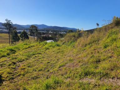 Residential Block For Sale - NSW - Coffs Harbour - 2450 - HUGE 2,076 sqm Block - Don't Miss This One  (Image 2)