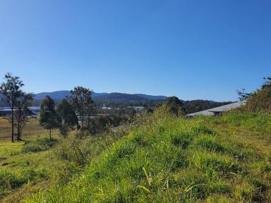 Residential Block For Sale - NSW - Coffs Harbour - 2450 - HUGE 2,076 sqm Block - Don't Miss This One  (Image 2)
