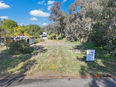 Residential Block For Sale - VIC - Barmah - 3639 - Want To Be A Local  (Image 2)