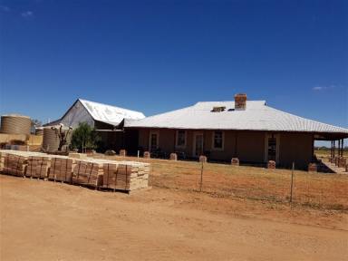 Mixed Farming For Sale - WA - Yalgoo - 6635 - Bunnawarra Station, Yalgoo Shire  (Image 2)