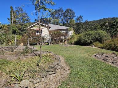 Acreage/Semi-rural For Sale - QLD - Cooran - 4569 - IMMERSE YOURSELF  (Image 2)