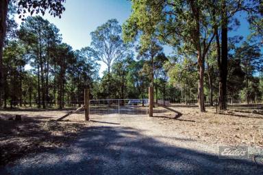 Residential Block For Sale - QLD - Glenwood - 4570 - PERFECT GREY NOMAD BASE!  (Image 2)