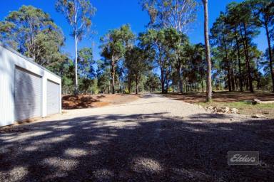 Residential Block For Sale - QLD - Glenwood - 4570 - PERFECT GREY NOMAD BASE!  (Image 2)