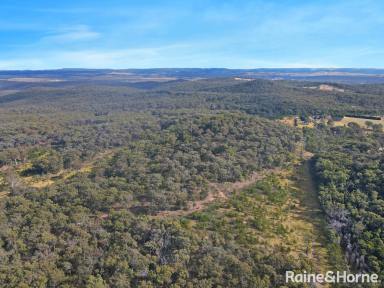 Residential Block For Sale - NSW - Canyonleigh - 2577 - 900 Acres - Auction Late February 2025  (Image 2)