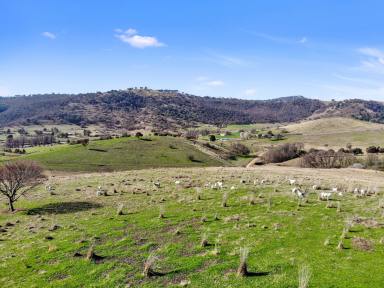 Residential Block For Sale - NSW - Adelong - 2729 - Views & Rural Space  (Image 2)