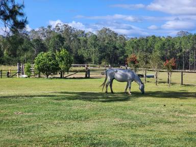 Acreage/Semi-rural For Sale - QLD - Woodford - 4514 - Space and Location!  10 acres under an hour to Brisbane or the Sunshine Coast.  (Image 2)