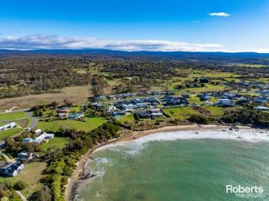 House For Sale - TAS - Swansea - 7190 - Breathtaking in every aspect!  (Image 2)