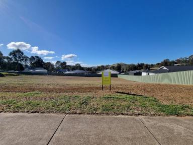 Residential Block For Sale - NSW - Gundagai - 2722 - Residential building block  (Image 2)