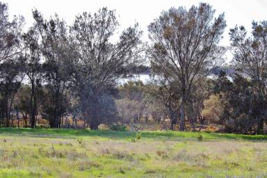 Lifestyle Sold - WA - Wagin - 6315 - Natures Secret  (Image 2)