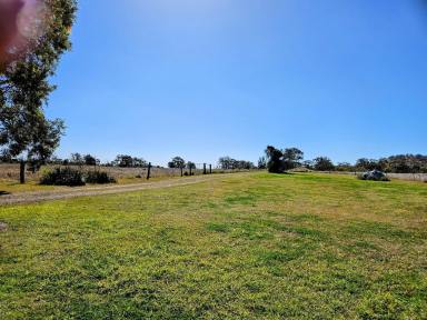 Farmlet For Sale - QLD - Plainby - 4355 - 208 Acres of quality scrub country, 2 homes, sheds, 2 bores on 2 titles.  (Image 2)