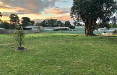 Residential Block For Sale - VIC - Rosedale - 3847 - Rare find! Twin blocks, Buy One or Both and build your dream home!  (Image 2)