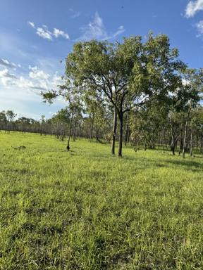 Residential Block For Sale - NT - Mount Bundey - 0822 - 390 acres lifestyle farm Arnhem highway  (Image 2)