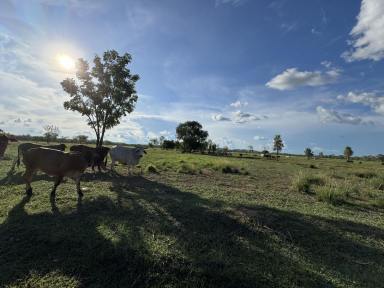 Residential Block For Sale - NT - Mount Bundey - 0822 - 390 acres lifestyle farm Arnhem highway  (Image 2)