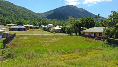 Residential Block For Sale - QLD - Tully - 4854 - Vacant Residential Land in Tully  (Image 2)