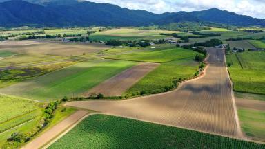 Lifestyle For Sale - QLD - East Feluga - 4854 - Lots of Land  (Image 2)