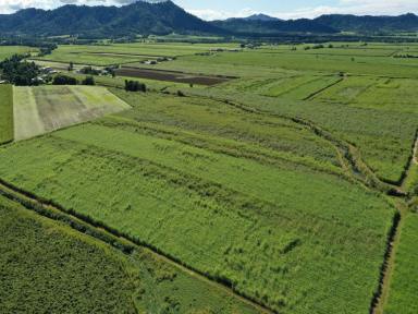 Lifestyle For Sale - QLD - East Feluga - 4854 - Lots of Land  (Image 2)