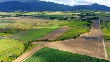 Lifestyle For Sale - QLD - East Feluga - 4854 - Lots of Land  (Image 2)