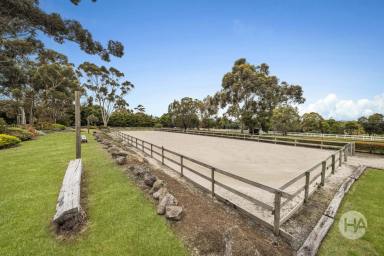 Acreage/Semi-rural For Sale - VIC - Pearcedale - 3912 - Equestrian Estate in Pearcedale  (Image 2)