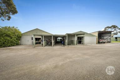 Acreage/Semi-rural For Sale - VIC - Pearcedale - 3912 - Equestrian Estate in Pearcedale  (Image 2)