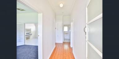 House Leased - VIC - Mildura - 3500 - 3 Bedroom Close to Heart of City  (Image 2)