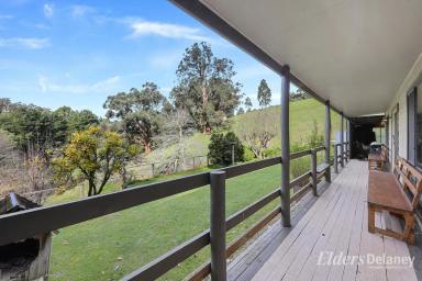 Other (Rural) For Sale - VIC - Neerim South - 3831 - Vendor Finance Available - Farm, Fish, Hunt, Admire - A property with options!  (Image 2)